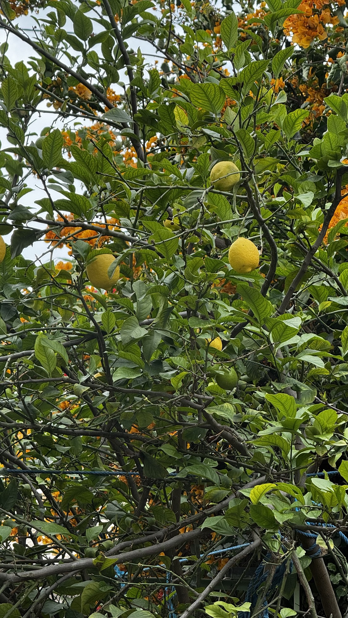 Tag 5 – Tunis schmecken, fühlen, riechen