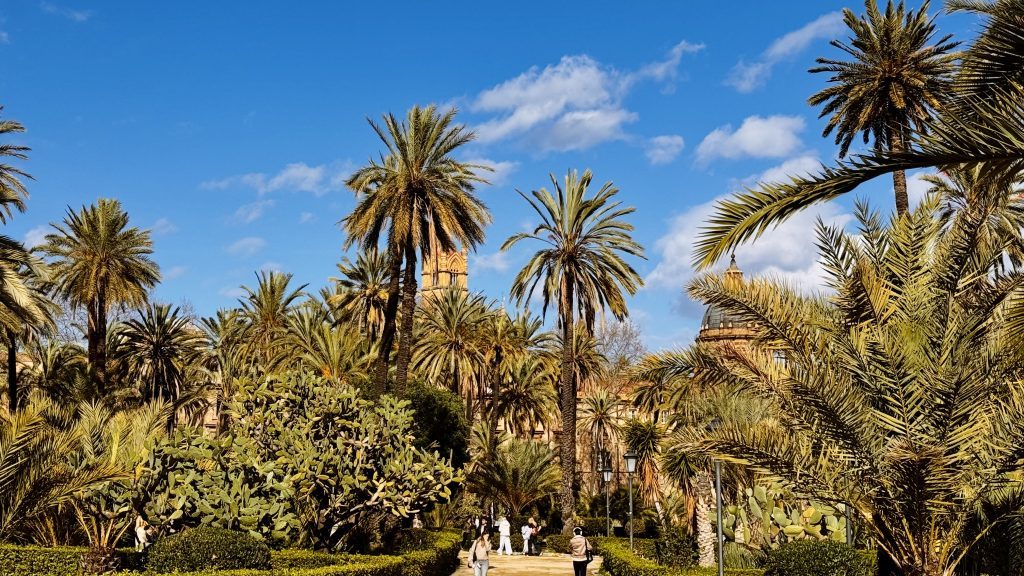 Eine grüne Gartenlandschaft mit zahlreichen Palmen und einem Kaktus im Vordergrund, inmitten von Menschen, die auf einem Weg stehen. Im Hintergrund sind ein historisches Gebäude und ein blauer Himmel mit einigen Wolken sichtbar.