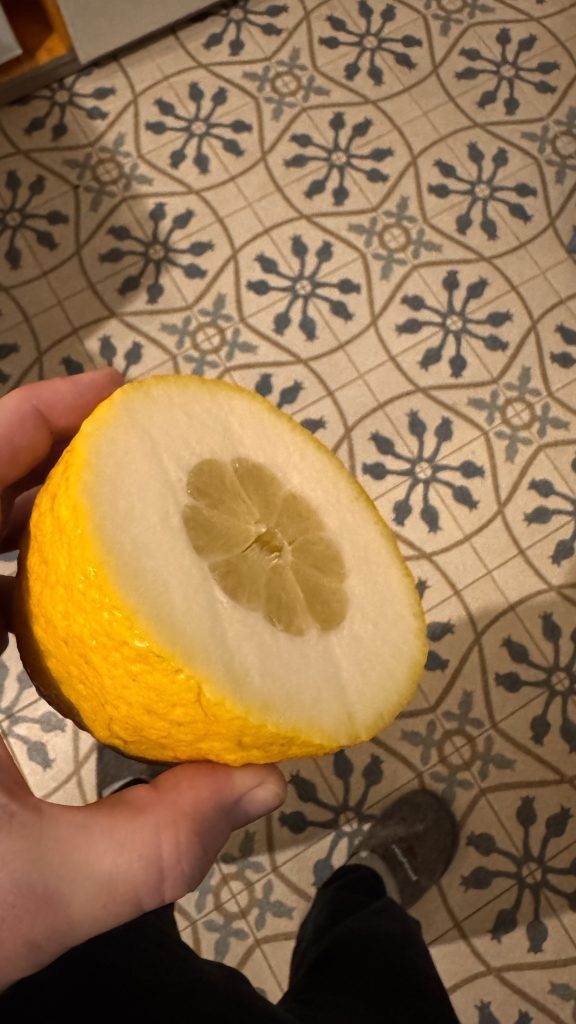 Eine Hand hält eine halbierte, gelbe Frucht, die innen blass ist und ein zentrales Kerngehäuse hat. Im Hintergrund ist ein gemusterter Bodenbelag zu sehen.